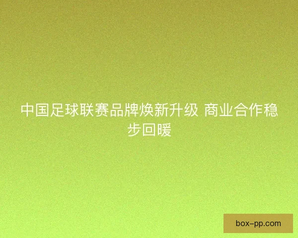 中国足球联赛品牌焕新升级 商业合作稳步回暖 中国足球联赛品牌焕新升级 商业合作稳步回暖