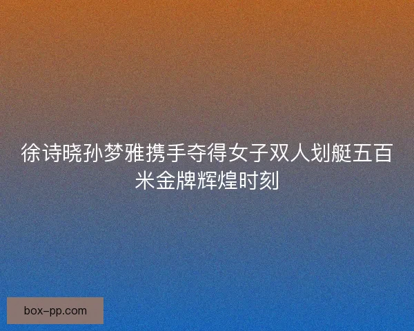 徐诗晓孙梦雅携手夺得女子双人划艇五百米金牌辉煌时刻