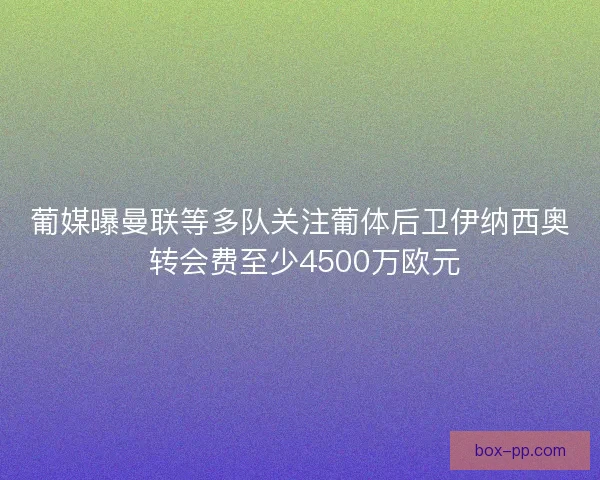 葡媒曝曼联等多队关注葡体后卫伊纳西奥 转会费至少4500万欧元 葡媒曝曼联等多队关注葡体后卫伊纳西奥 转会费至少4500万欧元