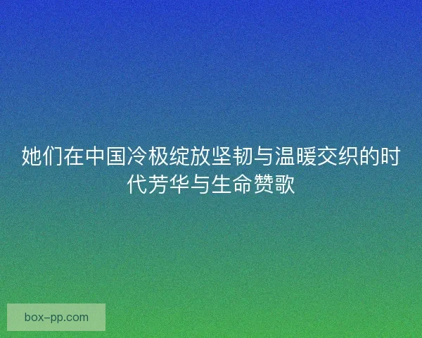 她们在中国冷极绽放坚韧与温暖交织的时代芳华与生命赞歌 她们在中国冷极绽放坚韧与温暖交织的时代芳华与生命赞歌